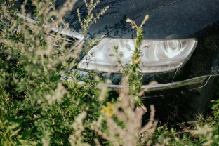 Nevalytas automobilis pavasarį gali virsti alergijos židiniu: kvėpuoji tuo, kas tyliai kaupiasi ant sėdynių