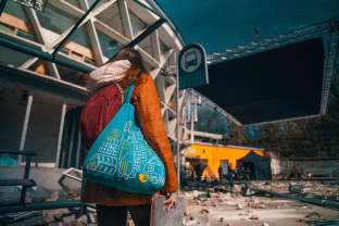 Kas nelaimės atveju nutiktų mūsų augintiniams? Filmas apie gyvūnus Ukrainoje atskleidžia skaudžią realybę