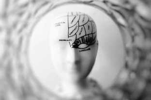Neuromokslo atradimai: naujas tyrimas pagilina supratimą, kaip veikia smegenys net tada, kai ilsisi