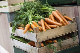 Augaliniai produktai gali tapti kasdieniu pasirinkimu, ką rodo lietuvių įpročiai ir ką siūlo ekspertai