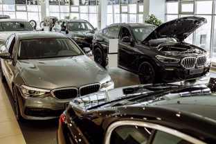 Tegyvuoja benzininiai automobiliai! Didieji gamintojai skambina pavojaus varpais dėl elektromobilių