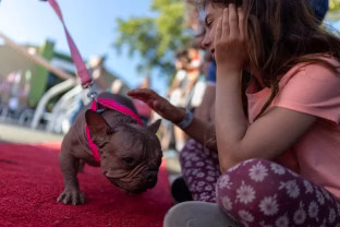 Šis vienas žodis, kurį sakote šuniukui, gali sugadinti jo elgesį visam gyvenimui, ar ir jūs jį vartojate?