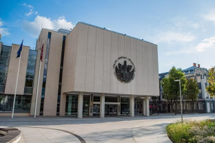 Baigėsi pagrindinis priėmimas: populiariausios VDU psichologijos ir spec. pedagoginės pagalbos studijos