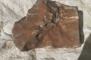 Parduotas už milijonus, bet ar teisėtai? Meteoras iš Marso tapo brangiausiu ginčo objektu pasaulyje