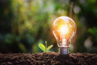 Elektros kainos Lietuvoje išlieka stabilios: didmeninė elektros energijos kaina Baltijos šalyse laikėsi panašiame lygyje