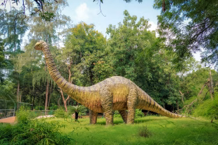 20 metų darbo rezultatai: Kinijoje atrastas įspūdingas 12 metrų ilgio dinozauras Chušanozauras
