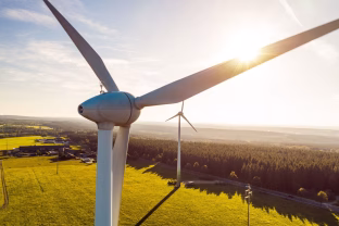 „Švyturio“ alus verda iš vėjo: visos gamyklos pereina prie žaliosios energijos, pokyčiai jaučiausi ir vartotojams