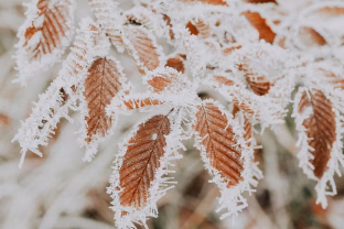 Sinoptikai ragina ruoštis orų pokyčiams: netrukus Lietuvą užklups ne tik šaltis, bet ir sniego lavina