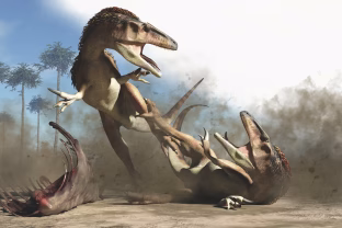 Ar ryžtumėtės paragauti? Paaiškėjo, kokių dinozaurų mėsa galėjo priminti jautieną