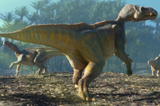 Šis atradimas pribloškė net ir mokslininkus: rasta būtybė, kuri galėjo būti visų dinozaurų protėvis