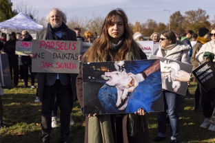 Didžiausias protestas prie VMVT: paršelius vis dar leidžiama kankint, ar teisingumas pakrypo į pinigų pusę?