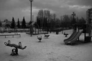 Žiema atneša ne tik sniegą: atskleidė, kodėl būtent šaltuoju metų laiku skyrybų skaičius šokteli aukštyn