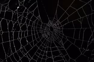 Šiurpuliukai garantuoti: Lietuvoje veikiantys Helovino parkai kviečia patirti neužmirštamus dalykus