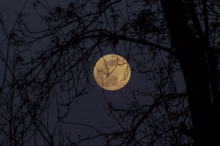 Pilnatis gali smogti visu savo pajėgumu: kodėl žmonės nemiega, sapnuoja košmarus ir jaučiasi lyg apkerėti?