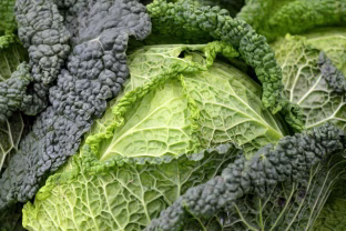 Sveikatos lobynas, kurį vis dar nuvertiname: ši daržovė turėtų būti dažniau ant mūsų stalo