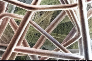 Nematoma grėsmė jūsų namuose: net švarus oras gali būti teršėjas, sukurtas tam skirtas sprendimas