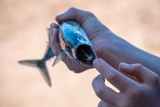 Silkės gerbėjai - atsargiai, nes šis receptas pakeis jūsų nuomonę visiems laikams