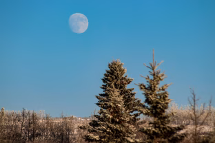 Paslaptis, kurią žino tik Mėnulis: sužinok, ką ši pilnatis atskleis apie tavo santykius, darbus ir širdį