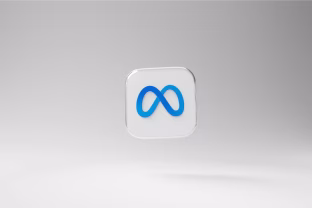 „Meta“ įtariama slėpusi įrodymus apie socialinių tinklų žalą psichikos sveikatai