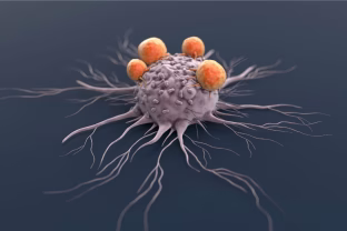 Mokslininkai aptiko mirtį apgaunantį molekulinį jungiklį, keičiantį vėžio ląstelių elgseną