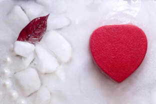 Mokslo pažanga: šis organų užšaldymo metodas - naujas žingsnis medicinos istorijoje