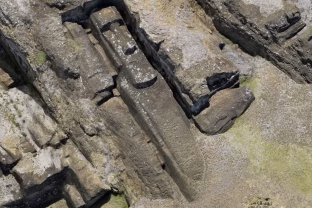 Mokslininkai pribloškė visą pasaulį: atskleidė, kas iš tikrųjų statė milžiniškas Velykų salos „moai“