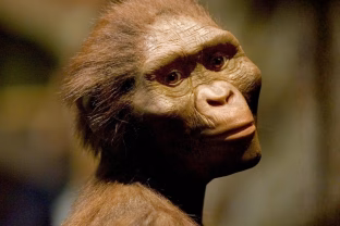 Kelių tūkstančių metų skirtumas, bet ta pati žemė: atrasta visiškai nauja žmogaus rūšis