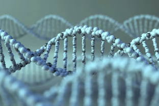 Mokslininkai nufilmavo ląstelės kovą su pažeidimais: tai gali kardinaliai pakeisti vėžio tyrimus