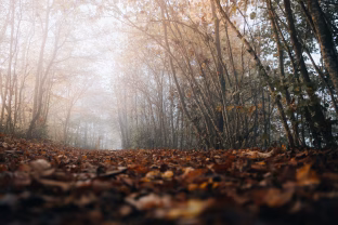 Įspėjimas prieš savaitgalį: orų pokytis ateina netikėtai ir gali sujaukti jūsų planus, sinoptikai ragina pasiruošti