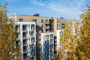 Buhalterija, pardavimai, analizė viename lange: kaip NT vystytojo kasdienybę keičia tam pritaikyta sistema