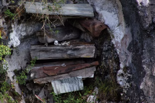 Karstai ant uolų šimtmečius slėpė paslaptį: mokslininkai ištyrė palaikus ir rado ryšį su gyvomis tautomis