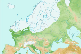Pagaliau pradeda aiškėti ledynmečio paslaptys: mokslininkai rado DNR, kurią slėpė urvai