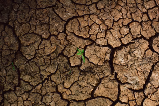 Neatsitiktinai skaitote tai dabar: jei priklausote vienam iš šių trijų ženklų, gali prasidėti jūsų nauja istorija