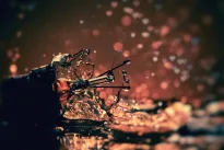 Gedimai namuose tyko tada, kai mažiausiai tikitės: ekspertai įspėja, kas gali virsti brangiais nuostoliais