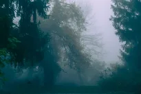 Sinoptikai ragina pasiruošti jau dabar: artėja permainos, kurios gyventojams sukels net ir galvos skausmą