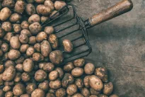 Tučtuojau išmeskite tokias bulves: vienas ženklas rodo, kad valgyti gali būti pavojinga