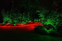 Šventinis apšvietimo gidas nuostabiomis Kalėdoms, daugelis apie tai net nepagalvoja