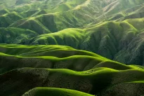 Paskutinė žmonijos diena Žemėje, štai kaip ji atrodytų, jei paskutines valandas aprašytų dirbtinis intelektas