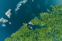 Naujas klimato lūžio taškas: Amazonijos sausros gali tapti norma, formuojasi naujas klimatas