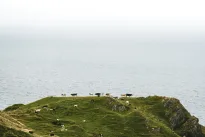 Archeologai neteko žado: Britanijoje rastas tūkstančius metų slėptas karo trimitas