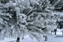 Neįprastas sausis kelia nerimą: sinoptikai įspėja visus gyventojus, blogiausia dar tik ateina