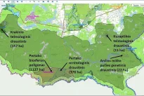 Spaudimas Seimui didėja: keliama kompensacijų tema dėl Kapčiamiesčio gyventojų