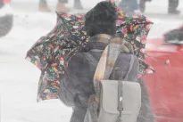 Snygis paralyžiuoja Lietuvą: gyventojai sulaukė skubių įspėjimų, keliuose gausu avarijų