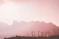 Pasaulis pasmerktas išnykimui: visą žmoniją pražudys ne milžiniški asteroidai, o patys žmonės