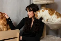 Nuo šunų mylėtojos iki kačių globėjos: savo atsidavimu gelbsti benamius gyvūnus ir įkvepia kitus