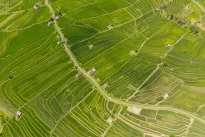 Nauji žemės verčių žemėlapiai jau galioja: pasitikrink jau dabar, kiek iš tiesų verta tavo žemė