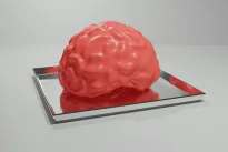 Mokslininkai kuria „mini smegenis“: atskleistas paslėptas šizofrenijos ir bipolinio sutrikimo kodas