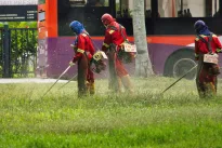 Mokslininkai sukrėsti: dažnai naudojami pesticidai siejami su neurologinėm ligom