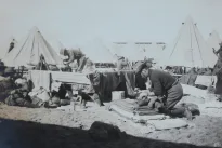 Mokslininkai neteko žado: viena mitybos korekcija gali iš esmės pakeisti kovą su infekcija