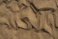 Archeologinis šokas: kunigaikščio žirgo kapas slėpė tai, ko niekas nesitikėjo